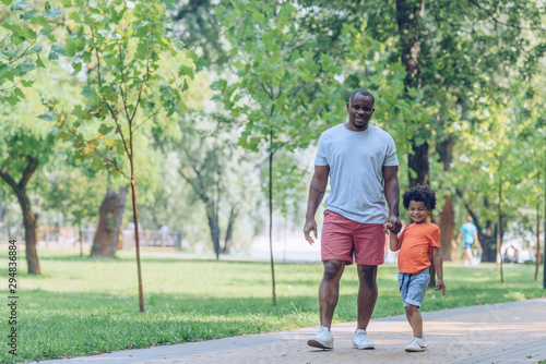 cheerful african american father and son holding hands while walking in park