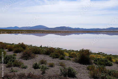 Laguna Vinto in the Andean highlands of Bolivia. Landscape of the Bolivian highlands. Desert landscape of the Andean plateau of Bolivia