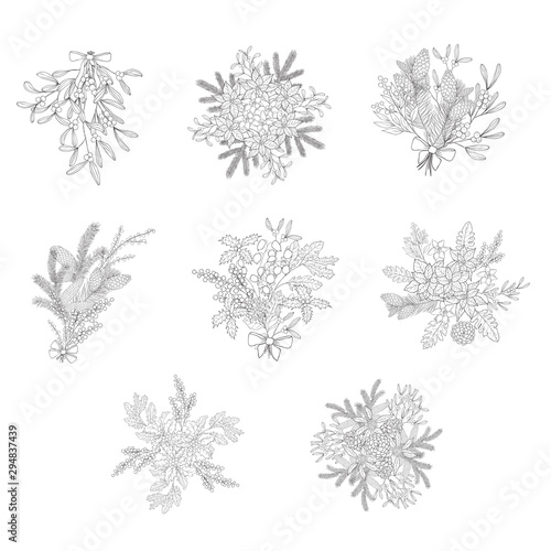Winter bouquet with evergreen plants. Vector