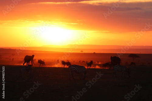 Silhouettes of african animals in the savannah during sunset.