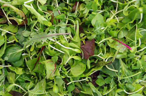 Mesclun salad mixed field greens piled closeup view