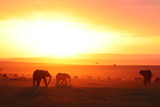 Silhouettes of african animals in the savannah during sunset.