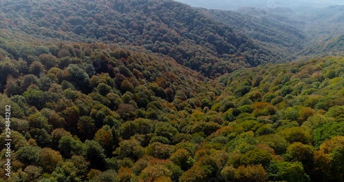Aerial motion view of mountains and forest in autumn
