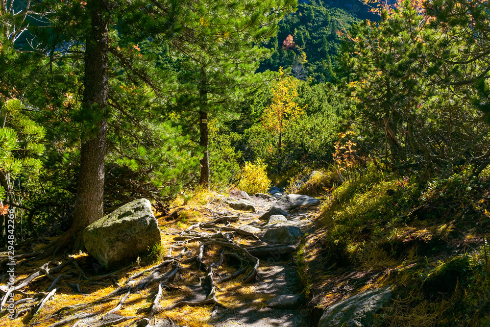 Tourist path with vivid autumn colors in High Tatras National Park, Slovakia