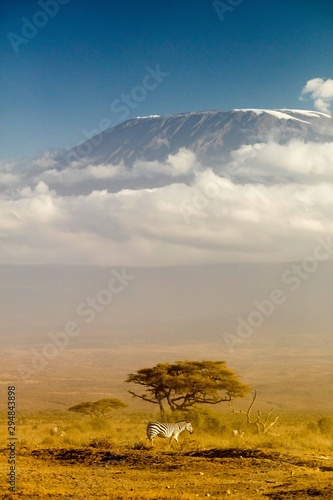 View of Mt Kilimanjaro in the afternoon