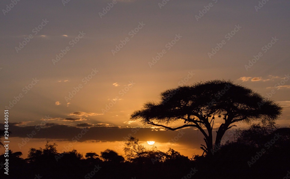 Sunset at Amboseli national park Sunset at Amboseli national park