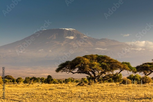View of Mt Kilimanjaro in the afternoon