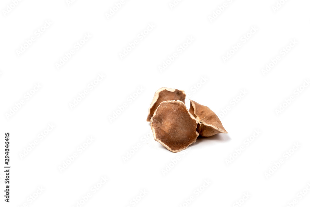 Moringa Oleifera seeds dried on isolated white background. Healthy super food. Moringa Oleifera seeds dried on isolated white background. Healthy super food.