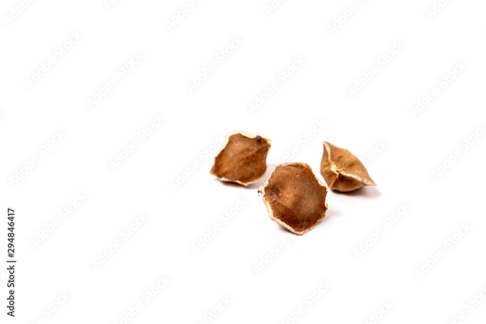 Moringa Oleifera seeds dried on isolated white background. Healthy super food. Moringa Oleifera seeds dried on isolated white background. Healthy super food.