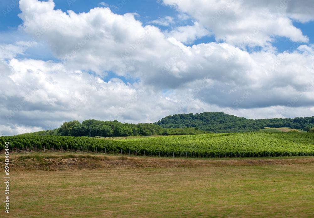 France, Jura, Arbois, vineyard landscape in the commune of Pupillin, famous terroir of the Jura wine France, Jura, Arbois, vineyard landscape in the commune of Pupillin, famous terroir of the Jura wine