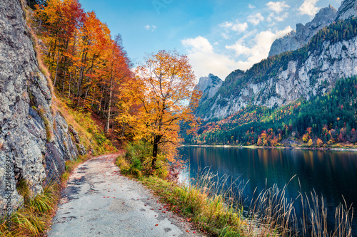 Fototapeta Naklejka Na Ścianę i Meble -  Amazing autumn scene of Vorderer / Gosausee lake. Gorgeous morning view of Austrian Alps, Upper Austria, Europe. Beauty of nature concept background. Amazing world of Alpine Mountains.