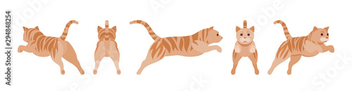 Ginger Tabby Cat jumping. Active healthy kitten with orange, red, and yellow-colored fur, cute funny pet in attack. Vector flat style cartoon illustration isolated on white background, different views