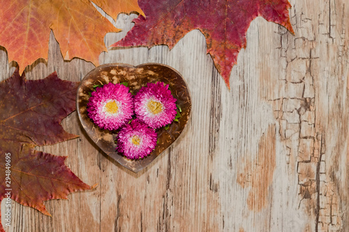 Old maple leaves and flower on plate vintage heart-shaped plastic background with imitation wooden Board with cracks, autumn theme, background with copy space, top view