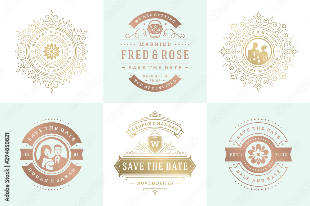 Wedding invitations save the date logos and badges vector elegant elements set