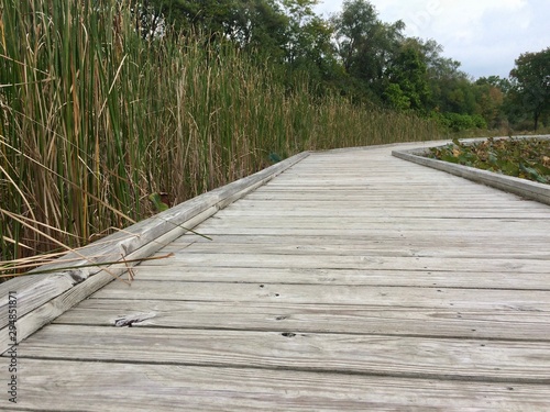 wooden path in the park