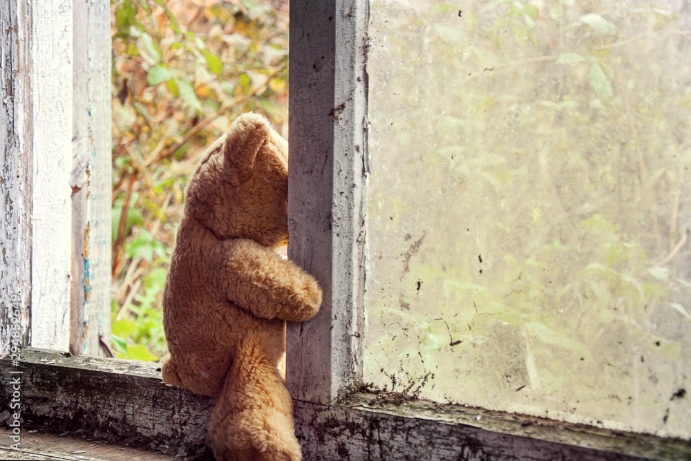  an abandoned teddy bear with reliable looks out the window of an abandoned house