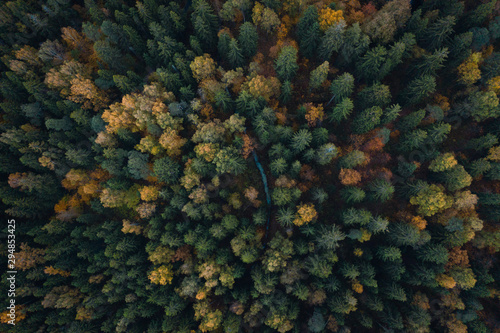 Aerial top view fall autumn forest with small blue creek
