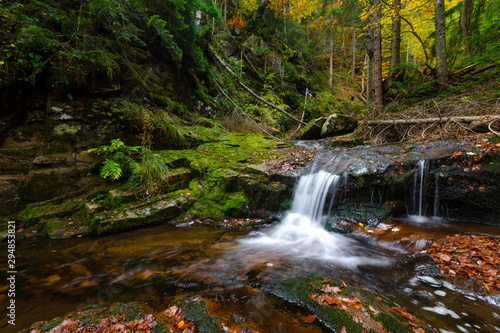 A shot of colorful forest with a little creek, taken in the Rodopi mountains, Bulgaria, in the magical area called Waterfalls' canyon. Waterfall in the autumn