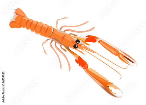 Fresh langoustine icon for menu design isolated on white background, healthy seafood, vector illustration.
