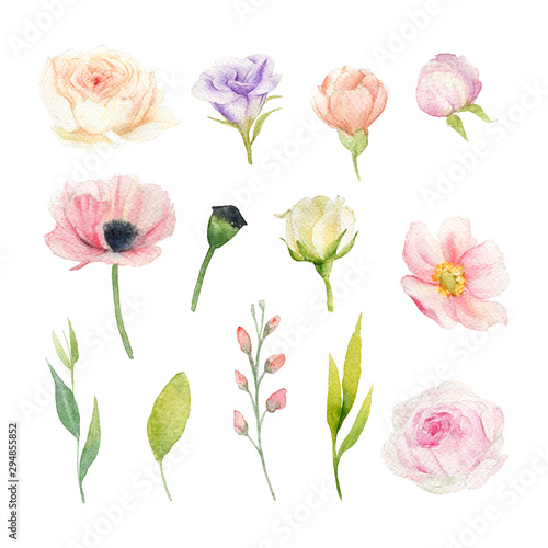 Hand drawn watercolor set of flowers: pink poppy, rose, peony, poppy box, ranunculus, anemone, lisianthus. Flower elements isolated on white.