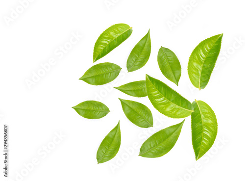 Green tea leaf collection isolated on white background