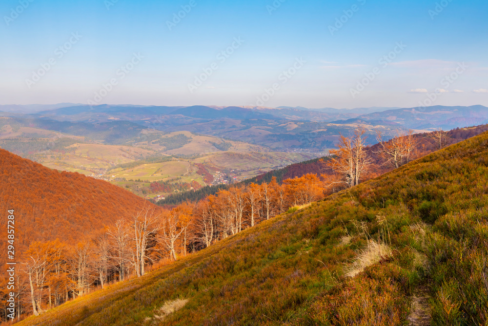 Beautiful autumn landscape. Trees with orange leaves. Carpathian mountains, Ukraine.