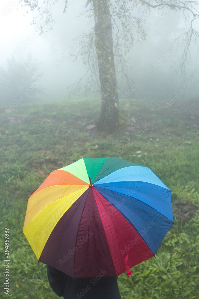 man holding rainbow colored umbrella on foggy rainy day in mountain forest