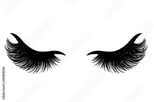 Brows and lashes vector illustration. Beautiful Eyelashes.