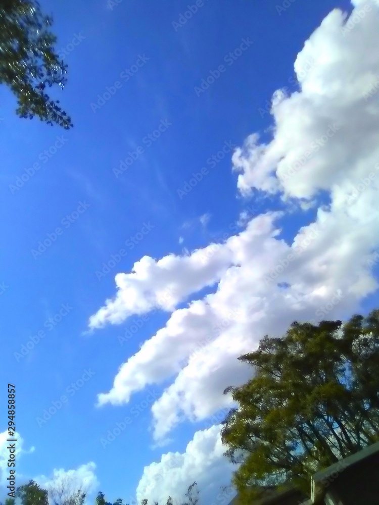 Beautiful Louisiana Sky On The Coast