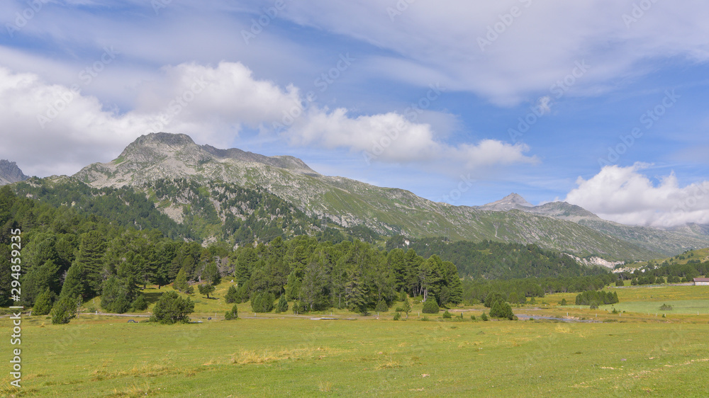 Fototapeta premium Panorama di montagna con abeti e cielo blu