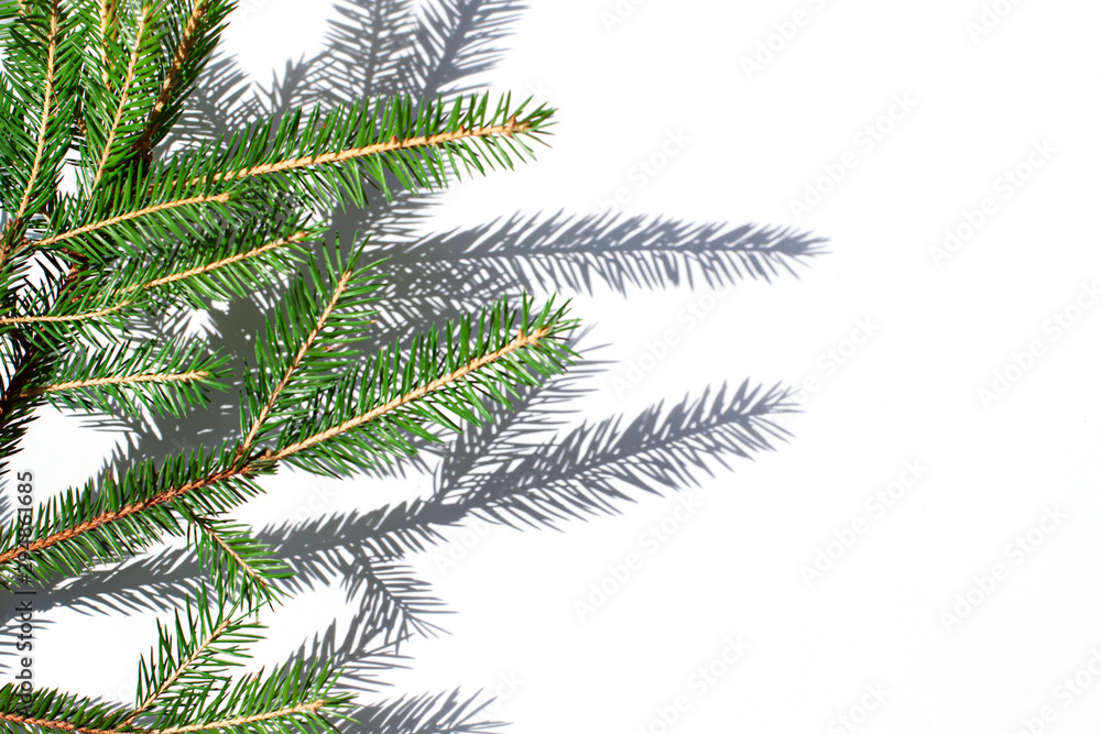 Christmas fir concept frame on the white sunny background. Copy space. Top view