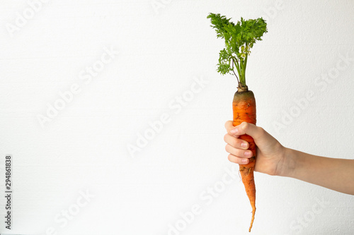 Leinwand Poster Carrot with tops in hand on a white background