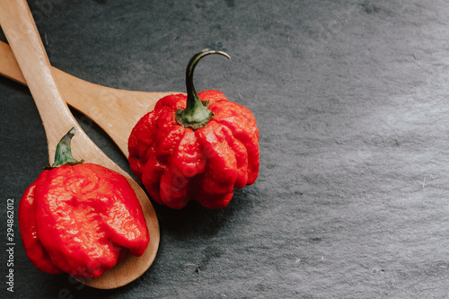 Hottest pepper in the world. Trinidad Scorpion Butch, thousands of times more spicy than Havana. On black slate background, with natural light. Spicy dark food food concept. photo