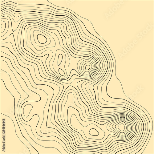 Topographic map background. Grid map. Abstract vector illustration.