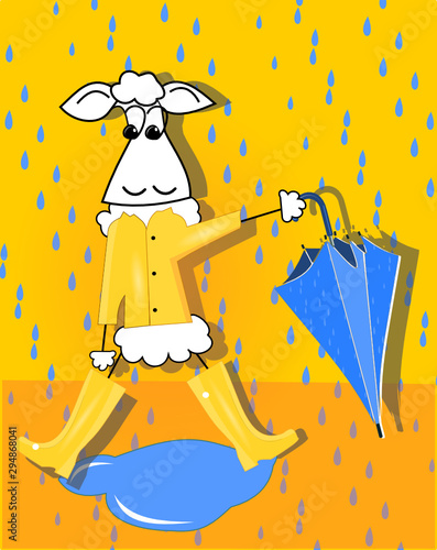 Mouton sous la pluie