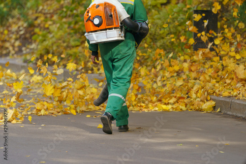 Cleaning falling leaves on a city street in the autumn dry time. Using leaf blower for cleaning of the road in the park. Seasonal occupation concept.