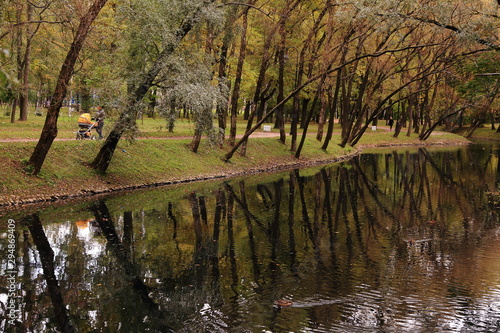 Fototapeta Naklejka Na Ścianę i Meble -   Autumn park trees beautiful landscape