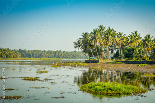 Kerala Landscape