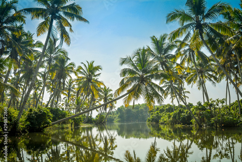 Poovar Lake, Kerala, India