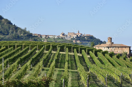 Langhe vineyards panorama