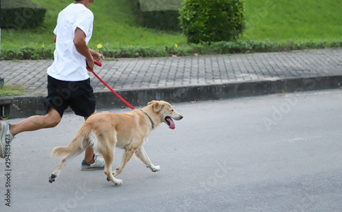 Closeup of a brown dog and a man running together on the road in public park.