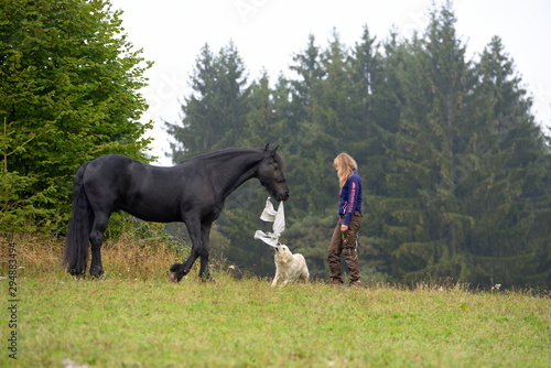 Fotografie Freunde. Schwarzes Pferd spielt mit Hund und Frau