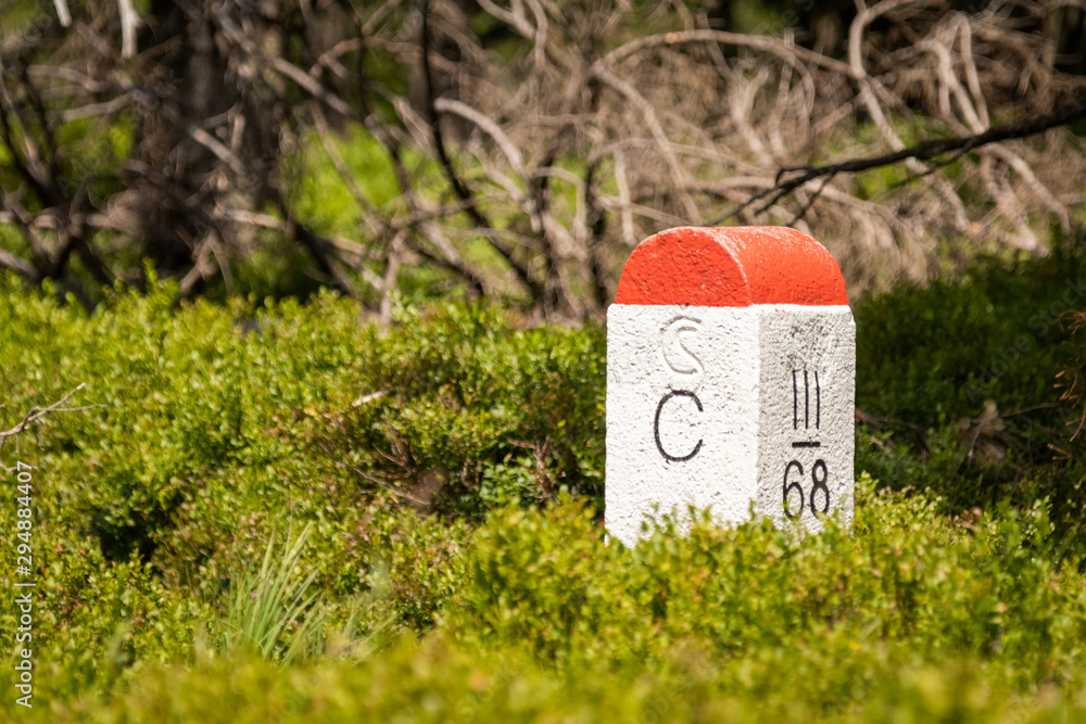 Czech border pillar red and white color, at the boundary of Poland and Czech Republic. Forest scene.