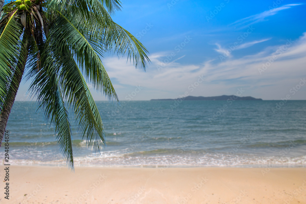 Obraz premium Coconut leaves on the beach background