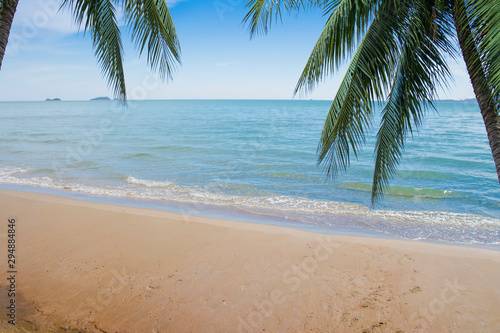 Coconut leaves on the beach background