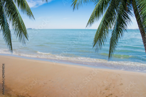 Coconut leaves on the beach background