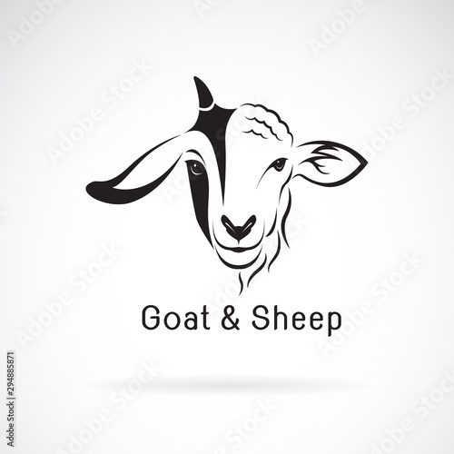 Vector of goat face and sheep face on a white background. Animals farm. Easy editable layered vector illustration.