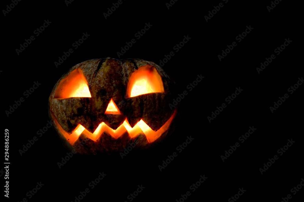 pumpkin Halloween Festival Concept pumpkin Halloween Festival Concept