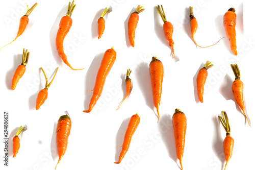 pattern of carrot on white background 