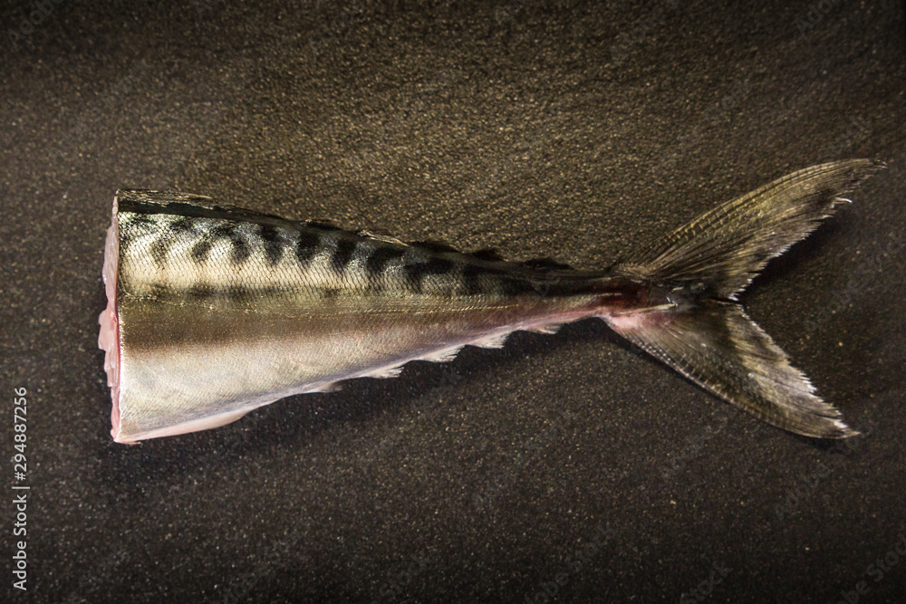 Cola de pescado Stock Photo | Adobe Stock